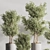 Green Haven Indoor Plant Set 3D model small image 5