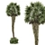 Tropical Palm Tree Plants 3D 3D model small image 3