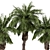 Palm Tree Plants Set 2378 3D model small image 2