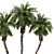 Palm Tree Plants Set 2378 3D model small image 3