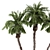 Palm Tree Plants Set 2378 3D model small image 4