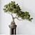  Bonsai Pine Thunbergii Set 3D model small image 3