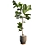 3D Plant & Decor Collection 3D model small image 2