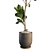 3D Plant & Decor Collection 3D model small image 4