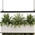 High-Quality Hanging Indoor Plant Set 3D model small image 4