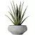 Indoor Plant Set 3D Models 3D model small image 4