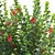 Versatile 3D Plant Models Set 3D model small image 4