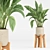 High-Quality Indoor Plant Set 3D model small image 2