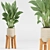 High-Quality Indoor Plant Set 3D model small image 3