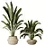 Tropical Paradise Bird Houseplant 3D model small image 1