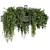 Green Tile Base Hanging Plants 3D model small image 1