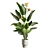 Tropical Elegance: Bird of Paradise 3D model small image 2