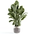 Custom Indoor Plant Model 296 3D model small image 1