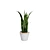 Snake Plant 3D Model .hex 3D model small image 2