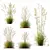 Grass Varieties 3D Models Bundle 3D model small image 1