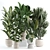 Custom Indoor Plant Model 2024 3D model small image 1