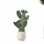 Rattan Pot Plants Collection: Palm, Grass, Cactus 3D model small image 8