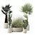 Rattan Pot Plants Collection: Palm, Grass, Cactus 3D model small image 3