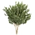 Premium Eucalyptus Lehmannii Tree Model 3D model small image 2