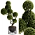 TurboSmooth Topiary Plant 30 3D model small image 2