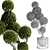 TurboSmooth Topiary Plant 30 3D model small image 4