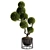 TurboSmooth Topiary Plant 30 3D model small image 5