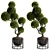 TurboSmooth Topiary Plant 30 3D model small image 7