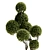 TurboSmooth Topiary Plant 30 3D model small image 10