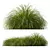 Golden Carex & Feather Grass Synergy 3D model small image 3