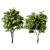 Russian Forest Tree No.124 3D model small image 1