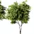 Russian Forest Tree No.124 3D model small image 3