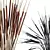 Pampas Branches Decor Set, 3D 3D model small image 2