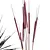 Pampas Branches Decor Set, 3D 3D model small image 4