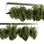 High-Quality Hanging Indoor Plants 3D model small image 4