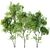 Majestic Spring Tree Collection 3D model small image 2