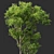 Spring Tree 3D Model Bundle 3D model small image 2