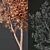 Spring Tree 3D Model Bundle 3D model small image 7