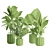 Exotic Indoor Plants Collection 74 3D model small image 3