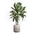 Exotic Indoor Plants Collection 74 3D model small image 4