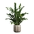 Exotic Indoor Plants Collection 74 3D model small image 6