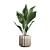 Exotic Indoor Plants Collection 74 3D model small image 7