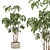 Modern Indoor Plant Set 059 3D model small image 2