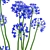 Agapanthus 3D Plant Collection 3D model small image 14