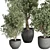 Concrete Tree Set Indoor Plant 3D model small image 2