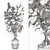 3D Plant & Decor Collection 3D model small image 7