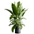 Marble Vase Dieffenbachia Maculata Set 3D model small image 2