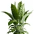 Marble Vase Dieffenbachia Maculata Set 3D model small image 3