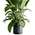 Marble Vase Dieffenbachia Maculata Set 3D model small image 4