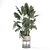 Natural Indoor Plant Set - 2015 3D model small image 2