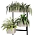 Premium Indoor Plants Set Renders 3D model small image 3
